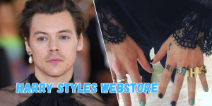 harry styles webstore