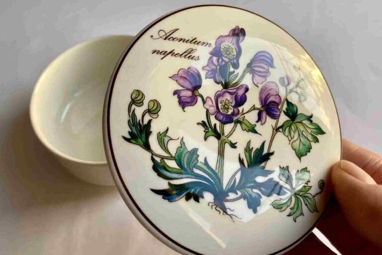 ceramica botanica abacus imports australia