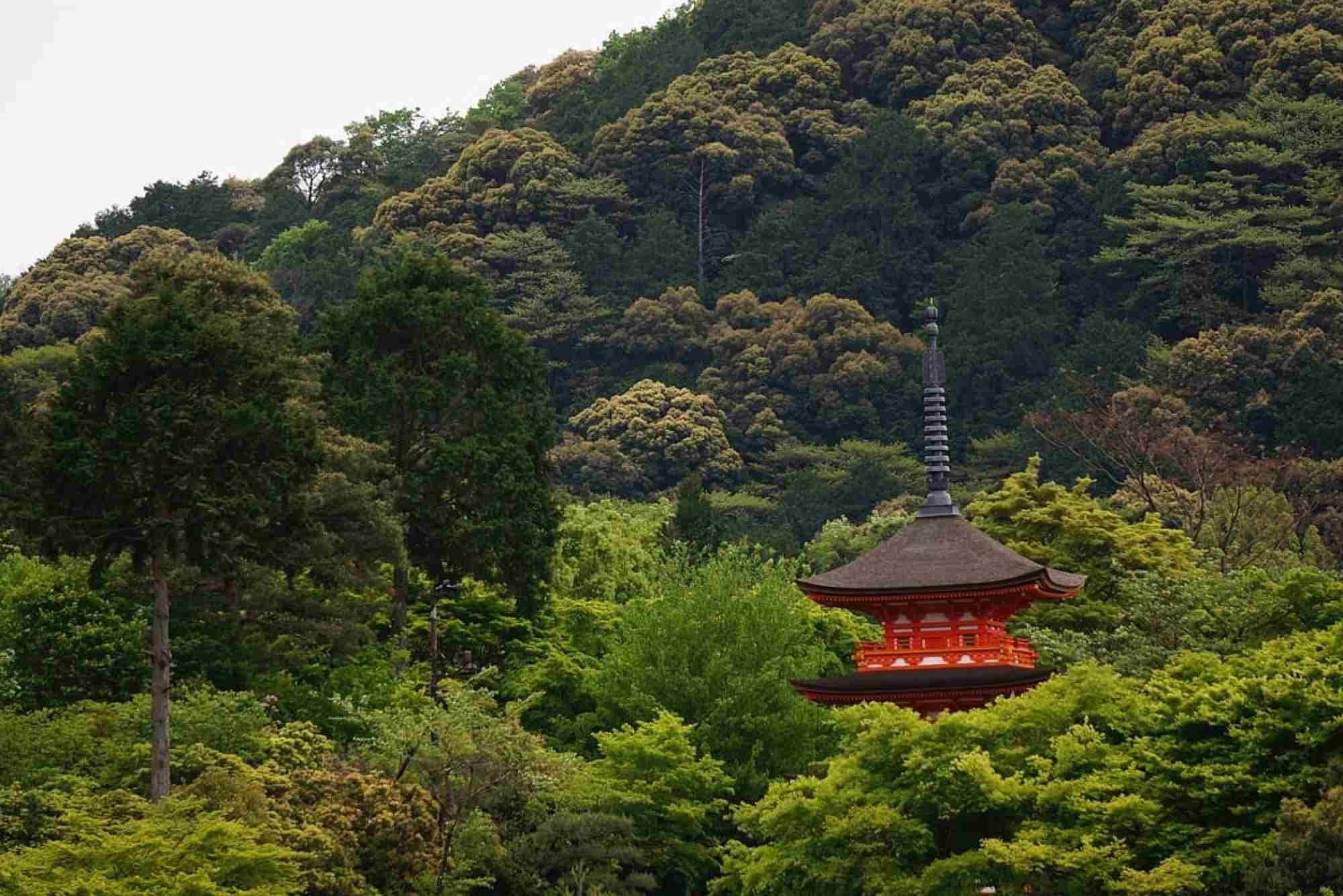 Trail Guide — Hiking Near Kyoto Routes, Distance & Tips