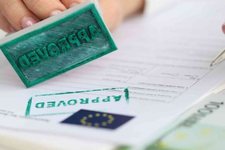 E Visa Russia Price in 2026: Full Application Cost Guide