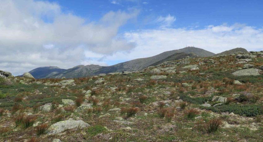 Ike's Mountain View