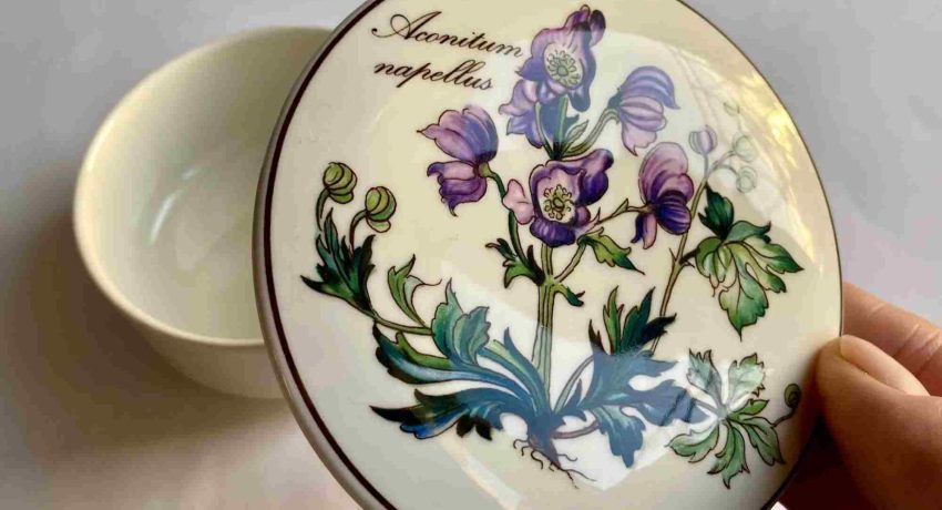 ceramica botanica abacus imports australia