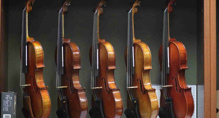 heaney violin mountain view